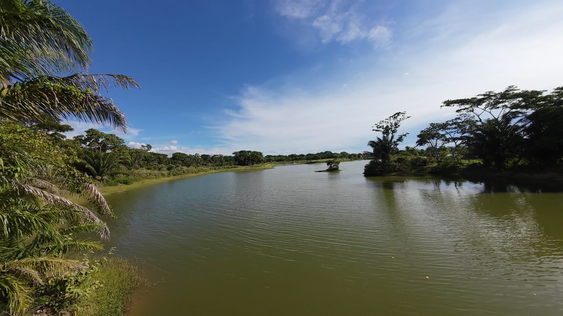 Laguna y selva